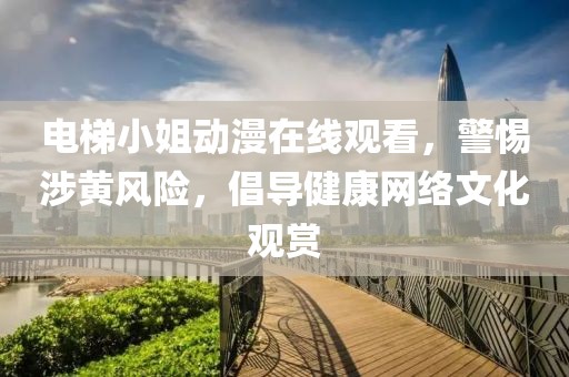 電梯小姐動漫在線觀看，警惕涉黃風(fēng)險，倡導(dǎo)健康網(wǎng)絡(luò)文化觀賞