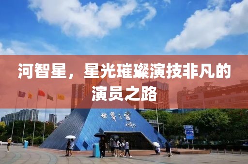 河智星，星光璀璨演技非凡的演員之路