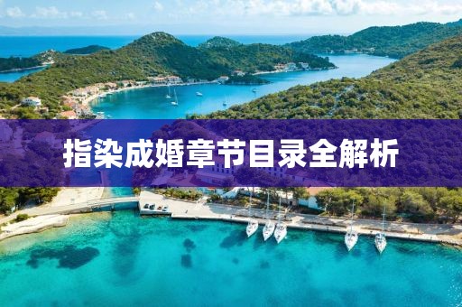 指染成婚章節(jié)目錄全解析