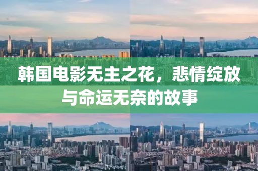 韓國電影無主之花，悲情綻放與命運(yùn)無奈的故事