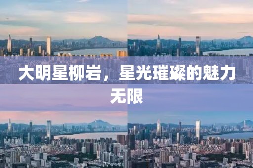 大明星柳巖，星光璀璨的魅力無限