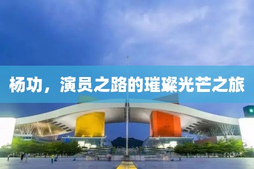 楊功，演員之路的璀璨光芒之旅