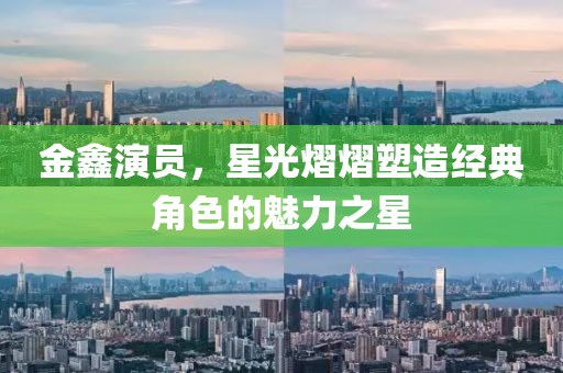 金鑫演員，星光熠熠塑造經(jīng)典角色的魅力之星