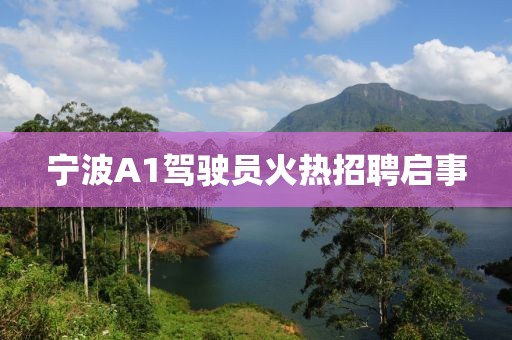 寧波A1駕駛員火熱招聘啟事