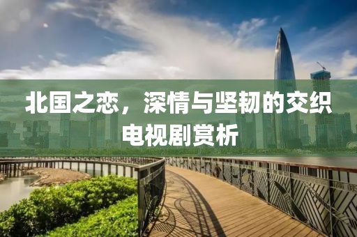 北國之戀，深情與堅韌的交織電視劇賞析