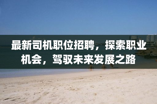 最新司機職位招聘，探索職業(yè)機會，駕馭未來發(fā)展之路