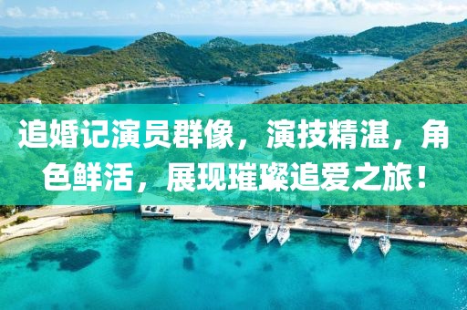 追婚記演員群像，演技精湛，角色鮮活，展現(xiàn)璀璨追愛之旅！