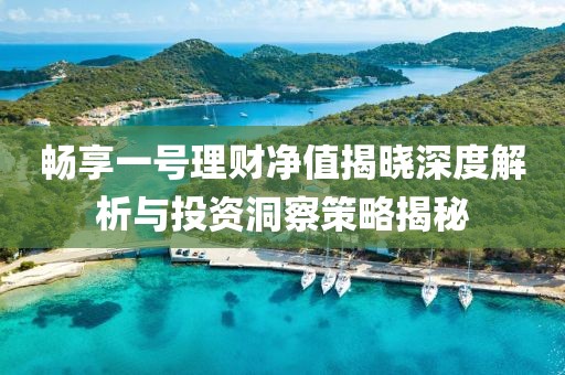 暢享一號理財凈值揭曉深度解析與投資洞察策略揭秘