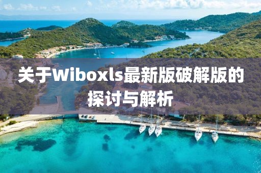關(guān)于Wiboxls最新版破解版的探討與解析