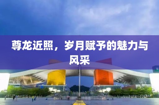 尊龍近照，歲月賦予的魅力與風采
