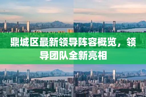 鼎城區(qū)最新領(lǐng)導(dǎo)陣容概覽，領(lǐng)導(dǎo)團(tuán)隊全新亮相