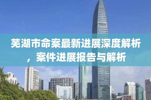 蕪湖市命案最新進(jìn)展深度解析，案件進(jìn)展報(bào)告與解析