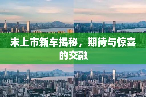 未上市新車揭秘，期待與驚喜的交融