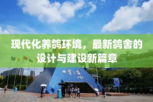 現(xiàn)代化養(yǎng)鴿環(huán)境，最新鴿舍的設計與建設新篇章