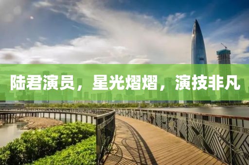 陸君演員，星光熠熠，演技非凡