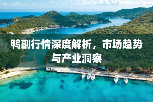 鴨副行情深度解析，市場(chǎng)趨勢(shì)與產(chǎn)業(yè)洞察