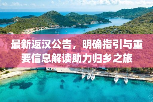 最新返漢公告，明確指引與重要信息解讀助力歸鄉(xiāng)之旅