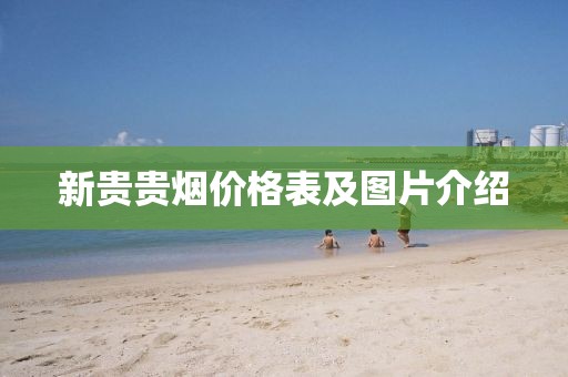 新貴貴煙價格表及圖片介紹