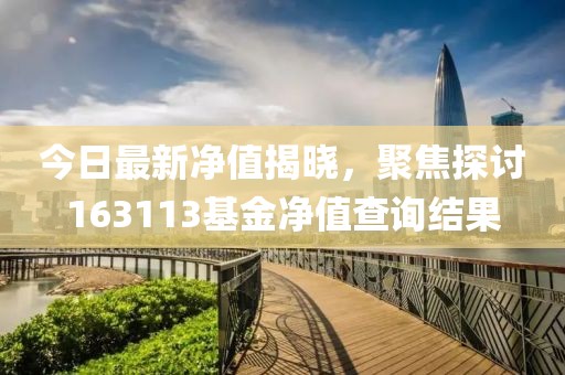 今日最新凈值揭曉，聚焦探討163113基金凈值查詢結(jié)果