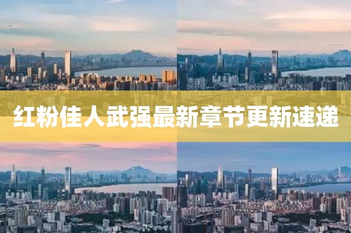 紅粉佳人武強(qiáng)最新章節(jié)更新速遞