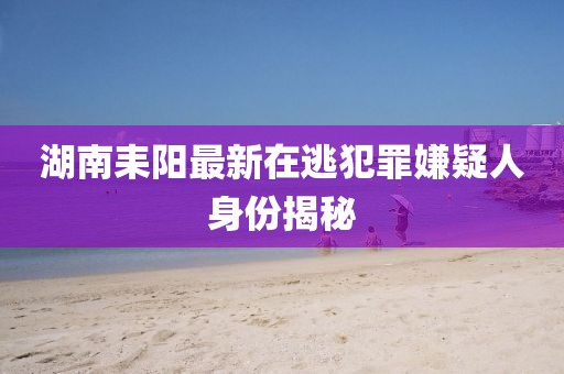 湖南耒陽(yáng)最新在逃犯罪嫌疑人身份揭秘