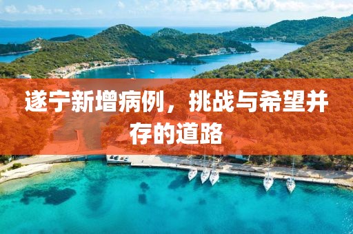 遂寧新增病例，挑戰(zhàn)與希望并存的道路