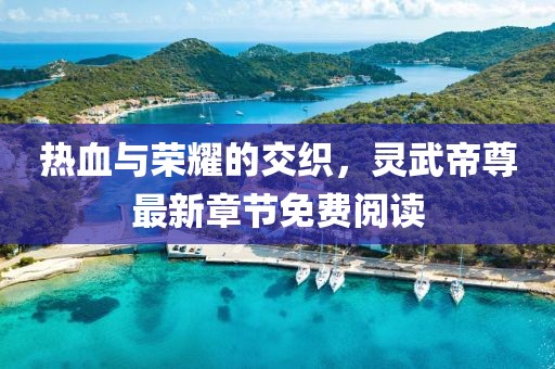 熱血與榮耀的交織，靈武帝尊最新章節(jié)免費(fèi)閱讀