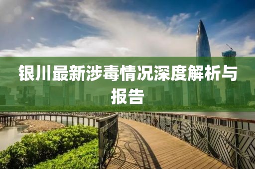 銀川最新涉毒情況深度解析與報告