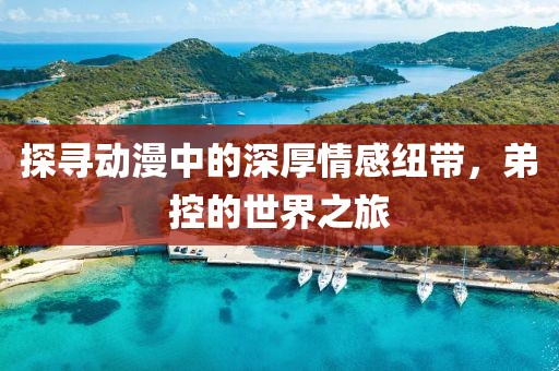 探尋動(dòng)漫中的深厚情感紐帶，弟控的世界之旅