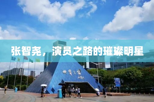 張智堯，演員之路的璀璨明星