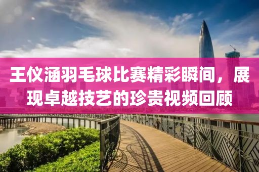 王儀涵羽毛球比賽精彩瞬間，展現(xiàn)卓越技藝的珍貴視頻回顧
