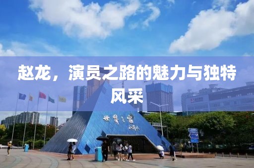 趙龍，演員之路的魅力與獨(dú)特風(fēng)采