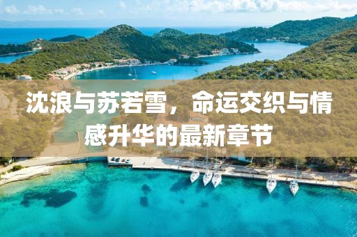 沈浪與蘇若雪，命運(yùn)交織與情感升華的最新章節(jié)