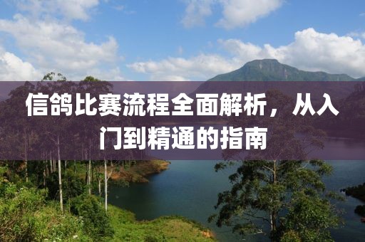 信鴿比賽流程全面解析，從入門到精通的指南