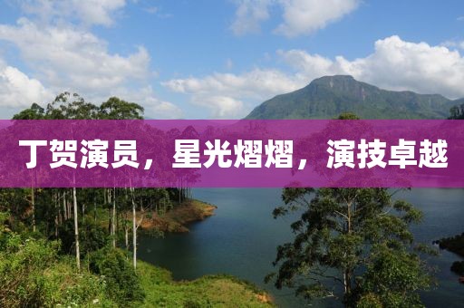丁賀演員，星光熠熠，演技卓越