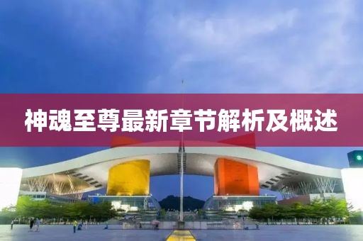 神魂至尊最新章節(jié)解析及概述
