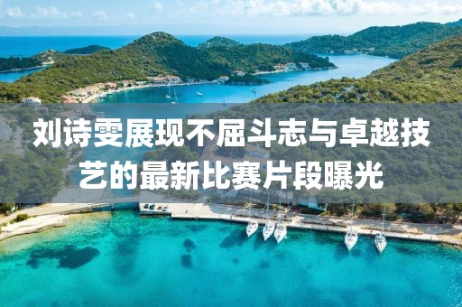 劉詩雯展現(xiàn)不屈斗志與卓越技藝的最新比賽片段曝光
