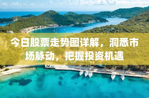 今日股票走勢(shì)圖詳解，洞悉市場(chǎng)脈動(dòng)，把握投資機(jī)遇