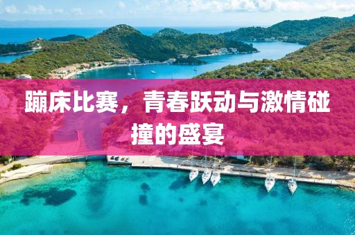 蹦床比賽，青春躍動與激情碰撞的盛宴