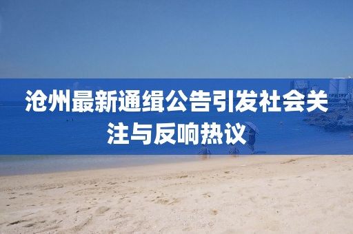 滄州最新通緝公告引發(fā)社會關(guān)注與反響熱議
