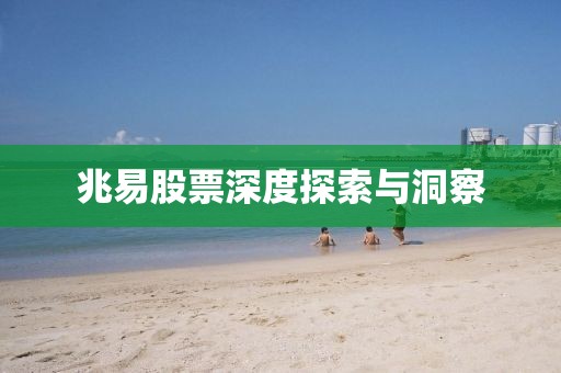 兆易股票深度探索與洞察