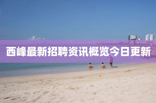 西峰最新招聘資訊概覽今日更新
