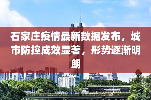 石家莊疫情最新數(shù)據(jù)發(fā)布，城市防控成效顯著，形勢(shì)逐漸明朗