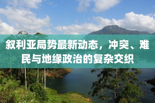 敘利亞局勢最新動態(tài)，沖突、難民與地緣政治的復(fù)雜交織