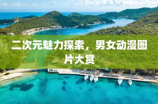 二次元魅力探索，男女動漫圖片大賞