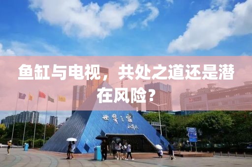 魚缸與電視，共處之道還是潛在風險？