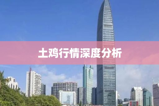土雞行情深度分析