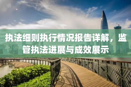 執(zhí)法細則執(zhí)行情況報告詳解，監(jiān)管執(zhí)法進展與成效展示