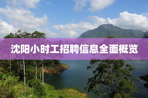沈陽小時工招聘信息全面概覽