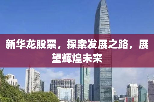 新華龍股票，探索發(fā)展之路，展望輝煌未來(lái)